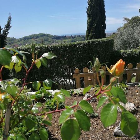 Da Adria Al Corvenale - Casa Vacanze Carrara - Villa Eksteriør bilde