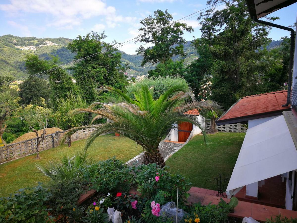 Da Adria Al Corvenale - Casa Vacanze Carrara - Villa Eksteriør bilde