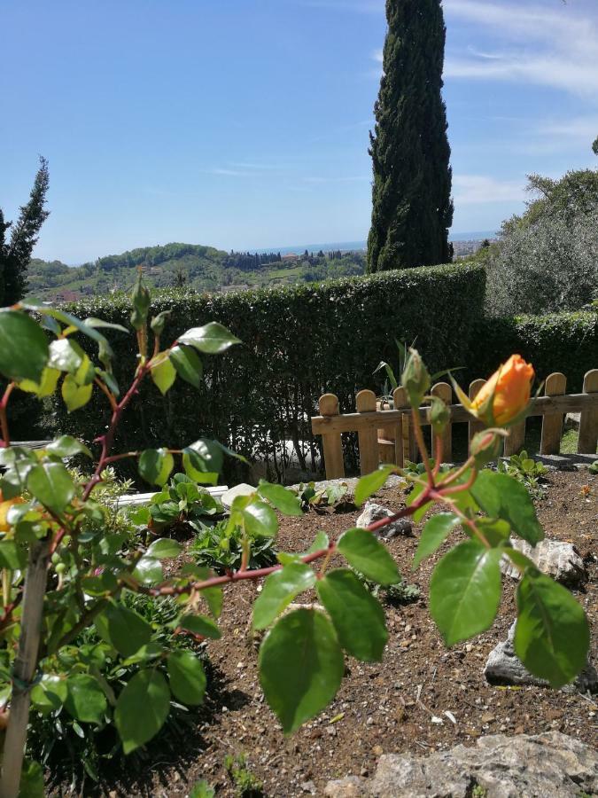 Da Adria Al Corvenale - Casa Vacanze Carrara - Villa Eksteriør bilde